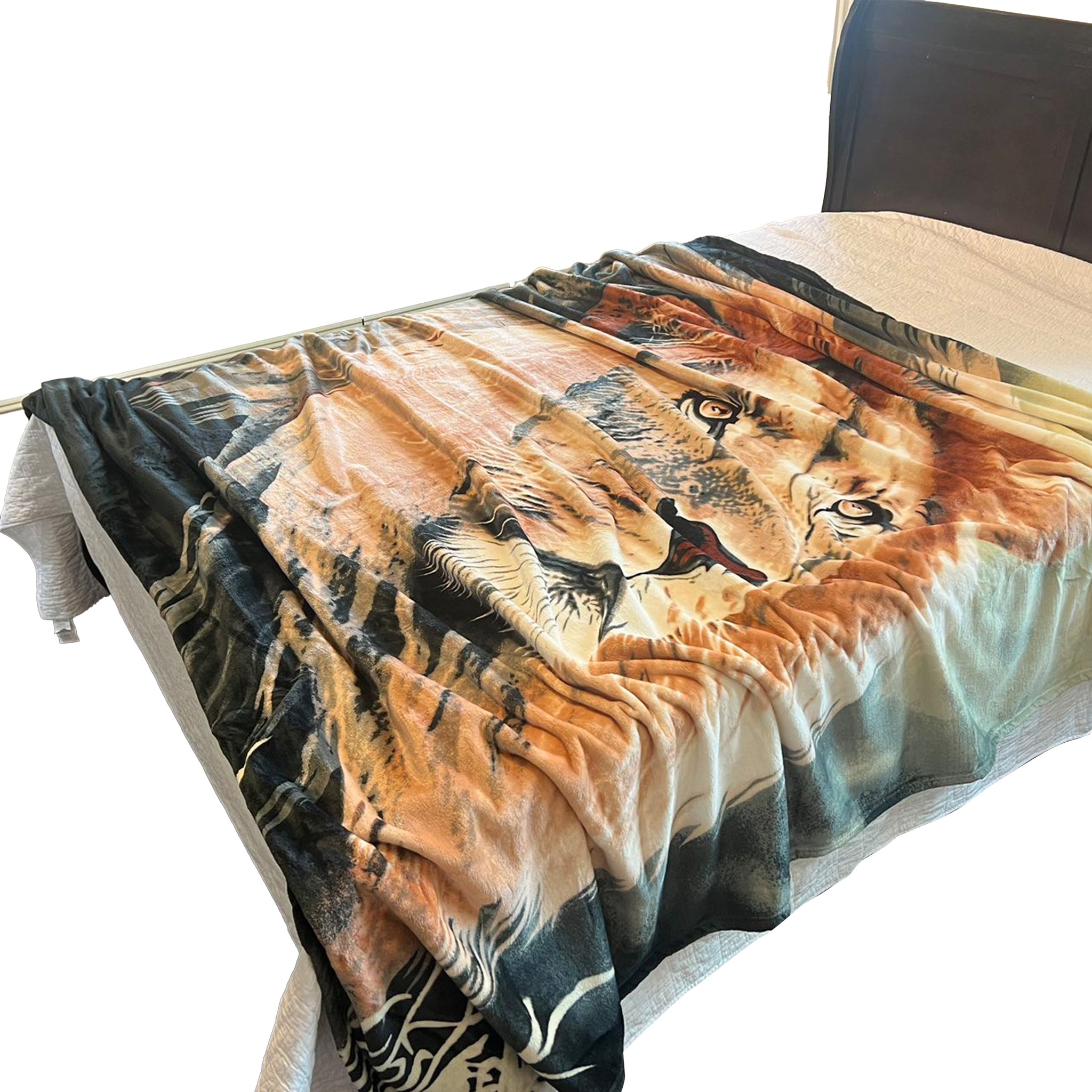 Queen Size Flannel Blanket, Ultra Soft and Warm, 400 GSM Heavyweight Plush Throw, All-Season Cozy Bed Blanket for Winter 95" x 86"